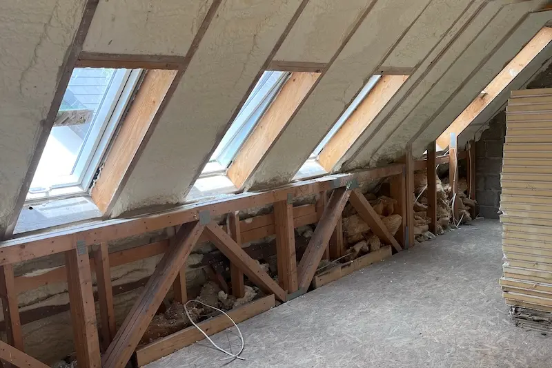 How To Choose The Best Type Of Attic Insulation For Your Home - Lovinsulation (2)