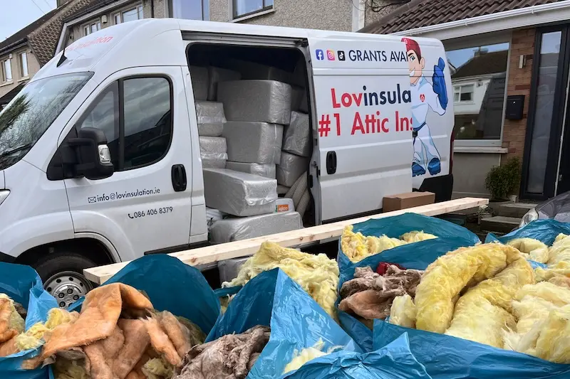 A Homeowner's Guide To Attic Insulation In Dublin - Lovinsulation (4)