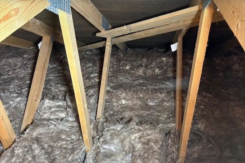 6 Reasons Why We’re The Attic Insulation Installers You Need - Lovinsulation (2)